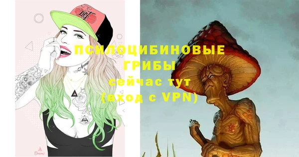 mdma Карпинск